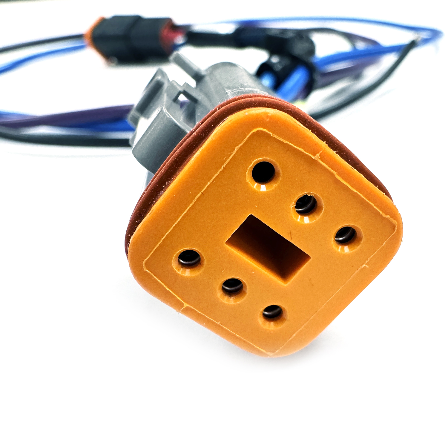 6 pin, 20’ long jack plate wire harness with split loom – DC5VWH-000000 Product Image 2